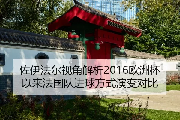 佐伊法尔视角解析2016欧洲杯以来法国队进球方式演变对比